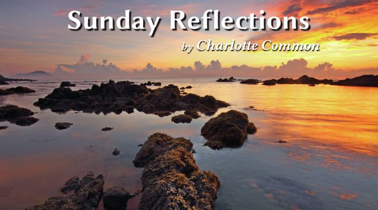 Sunday Reflections – 3 – Charlotte Common